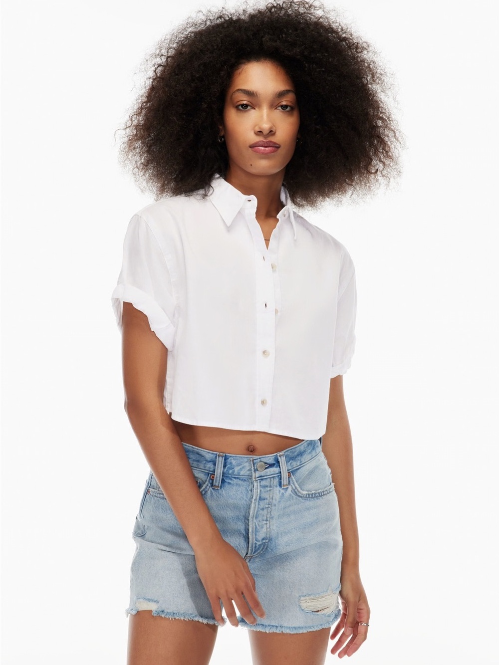 Aritzia Denim Forum Cropped Shirt